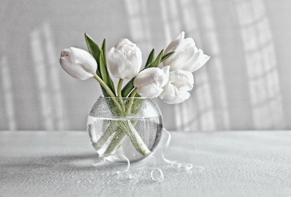 Весенняя прохлада