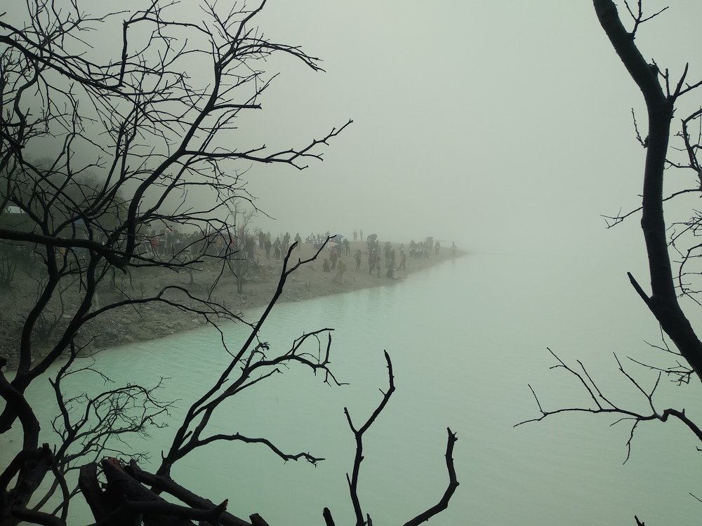 halimun dikawah putih