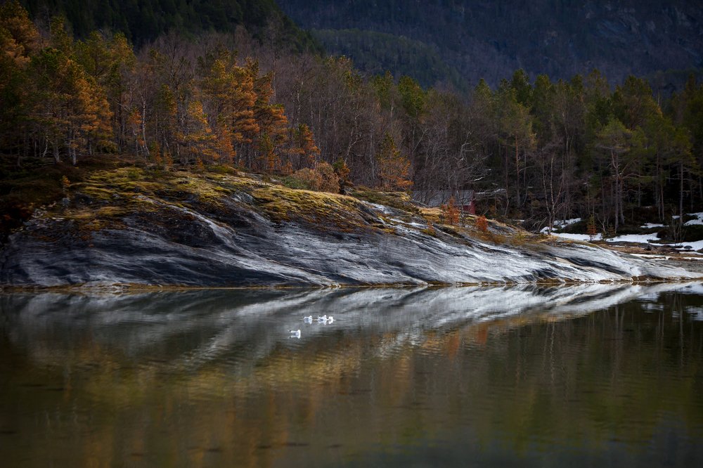 Photograph by Ирина Шевакова