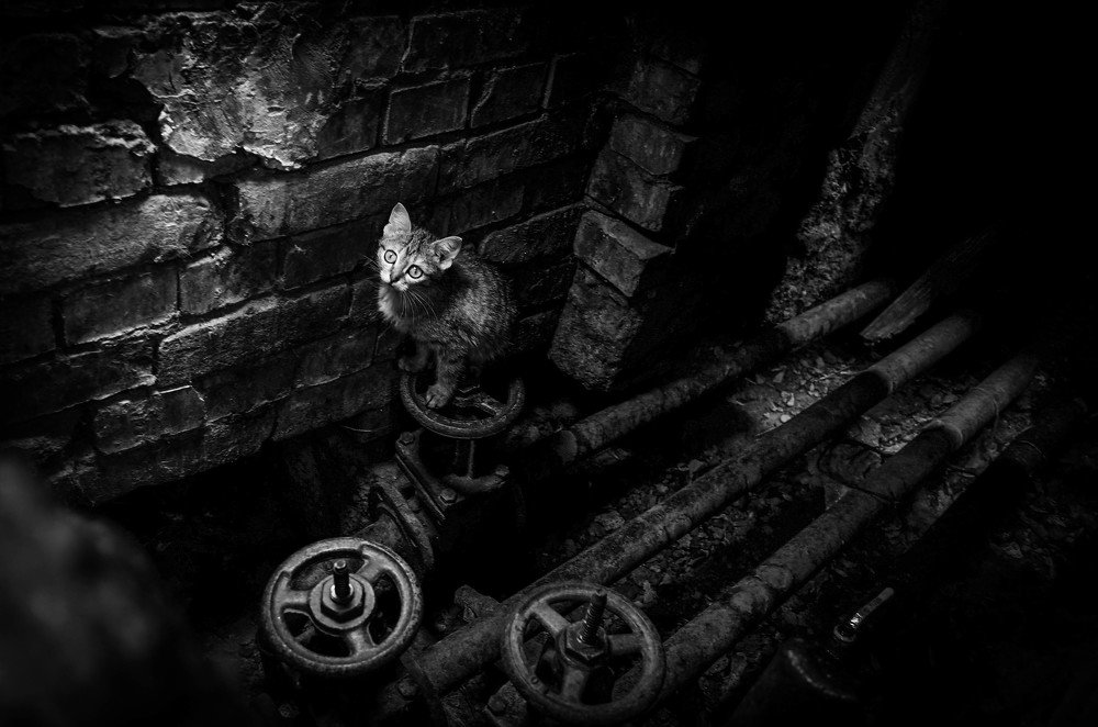 Photograph by Constantin Syrygin