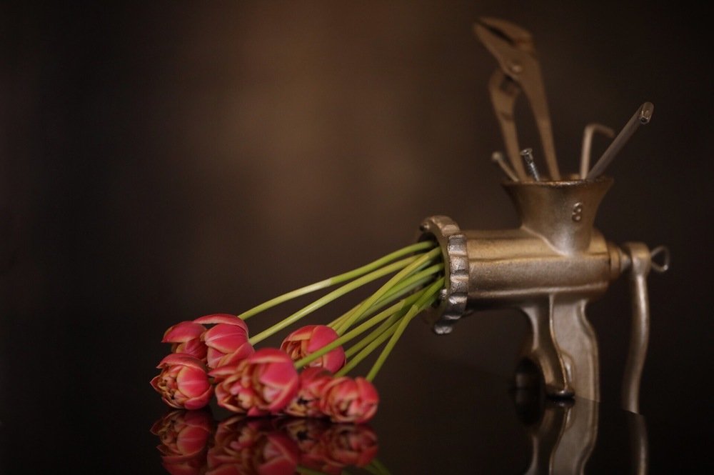 Умение выжимать из жизни все!