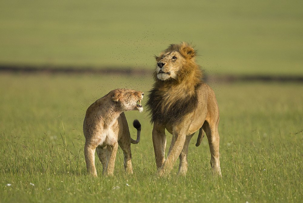 As usual just ignoring what woman said