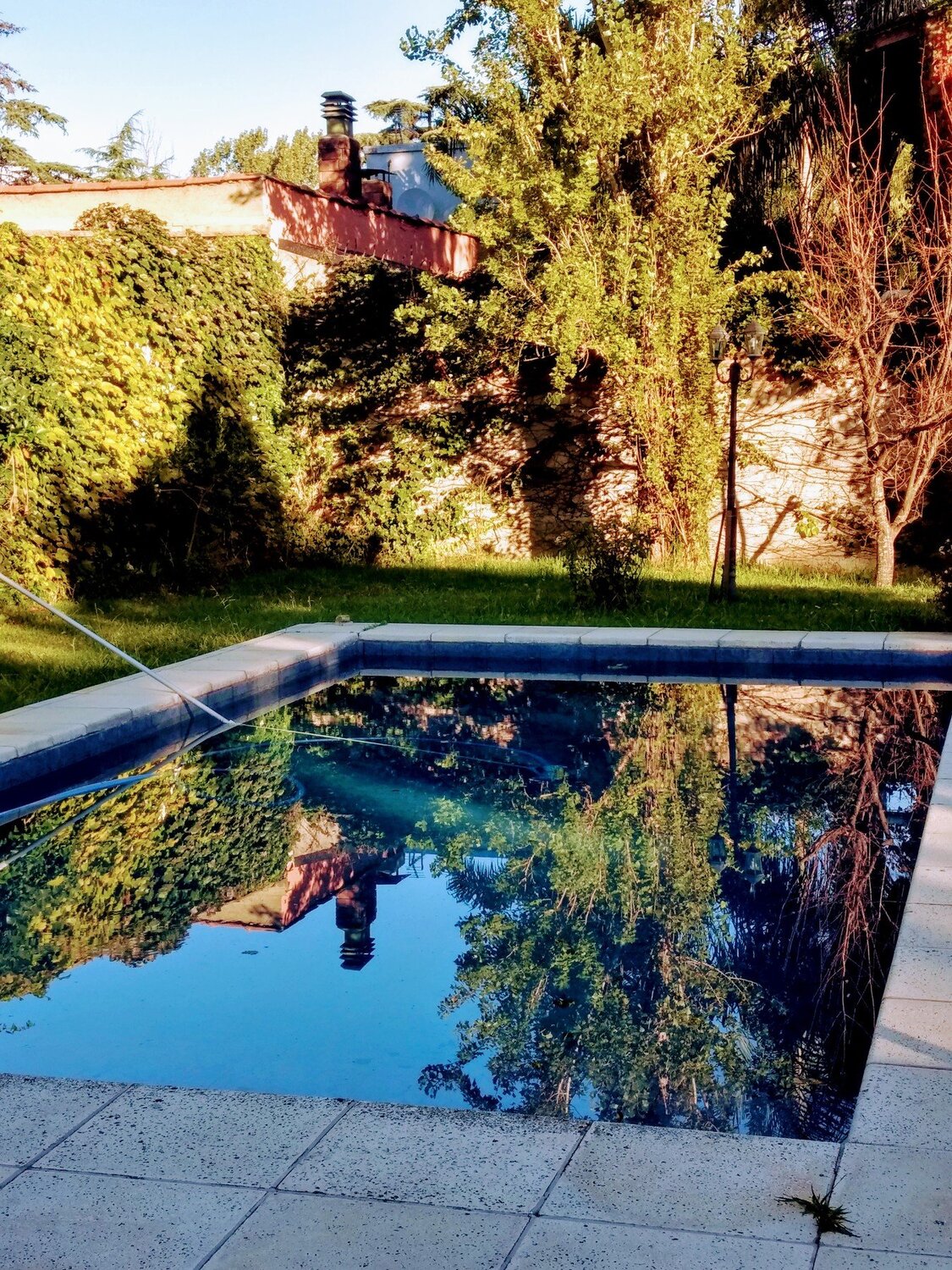 Mirror