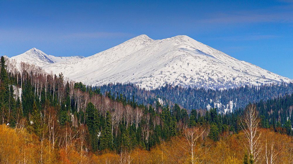 Весна пришла!