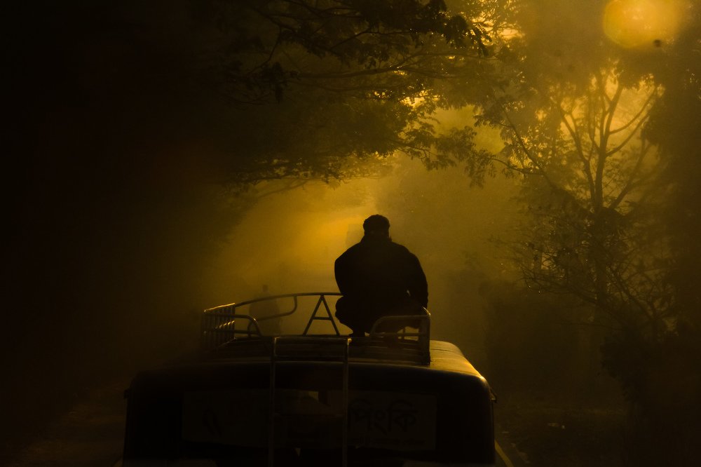 GOLDEN WINTER MORNING