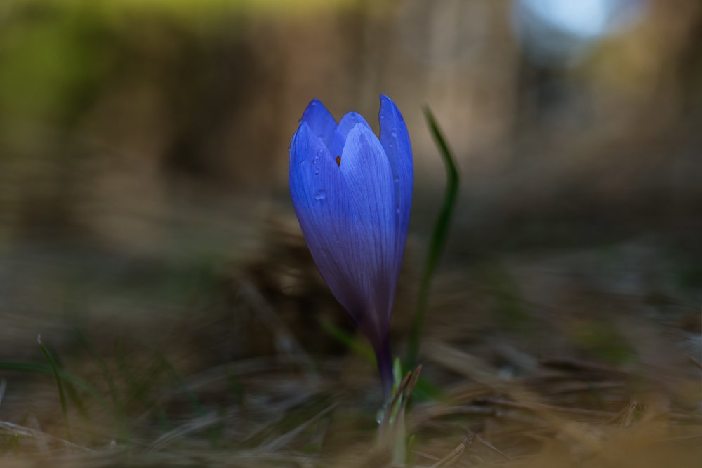 Photograph by Димитър Митрев