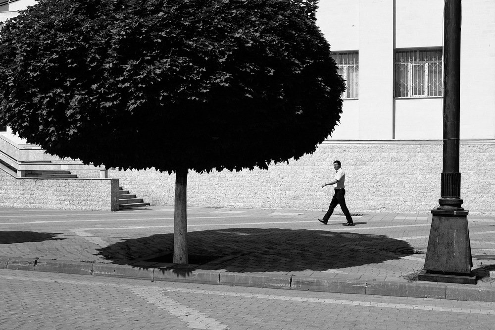 спасительная тень