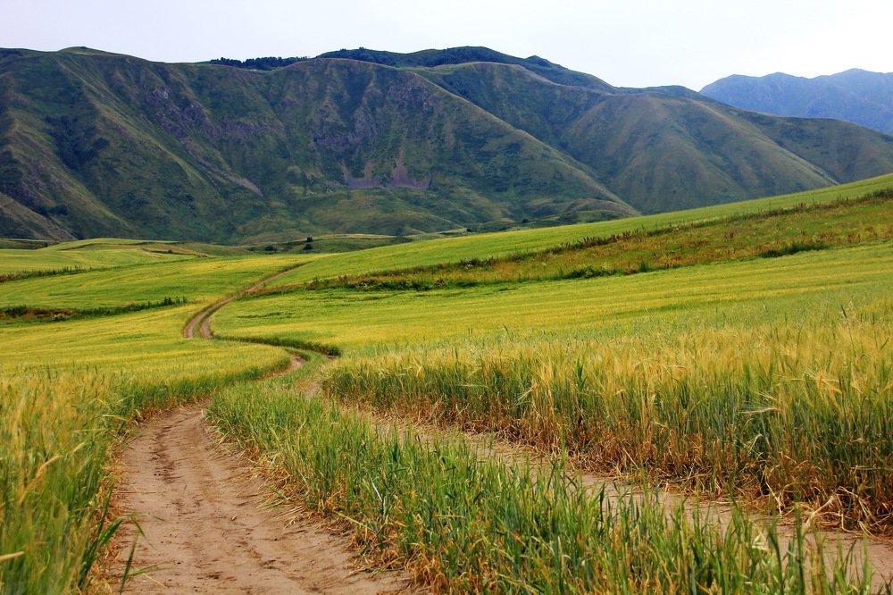 Дорога в горы