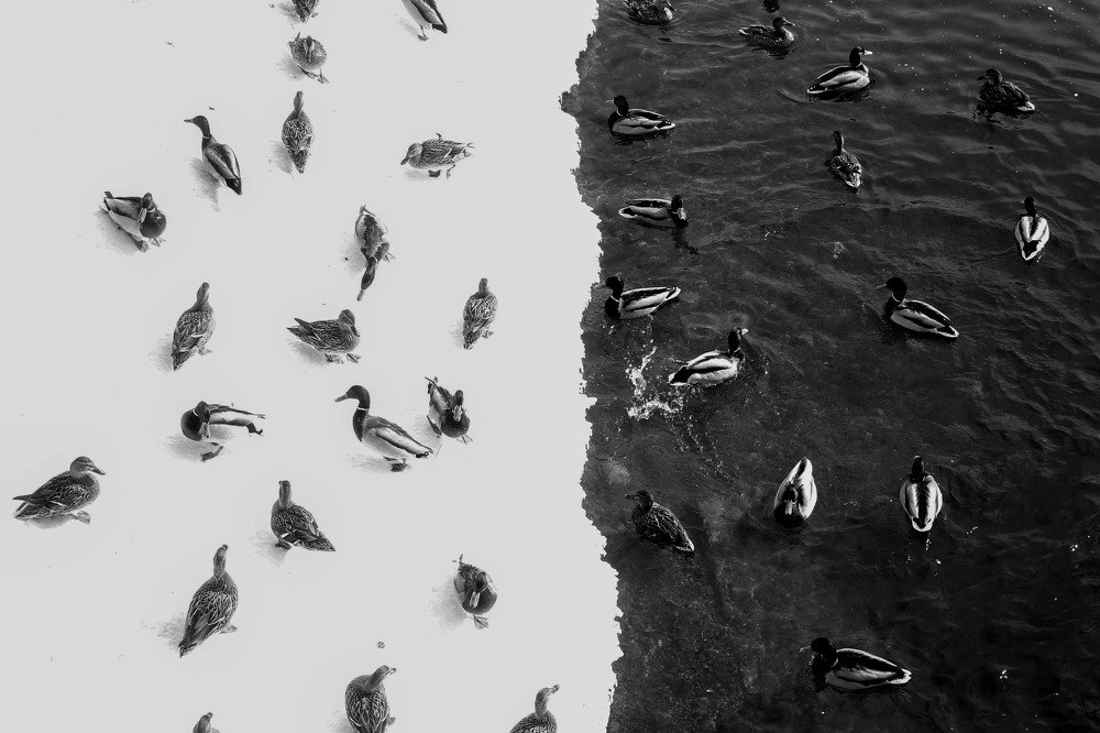 Photograph by Constantin Syrygin