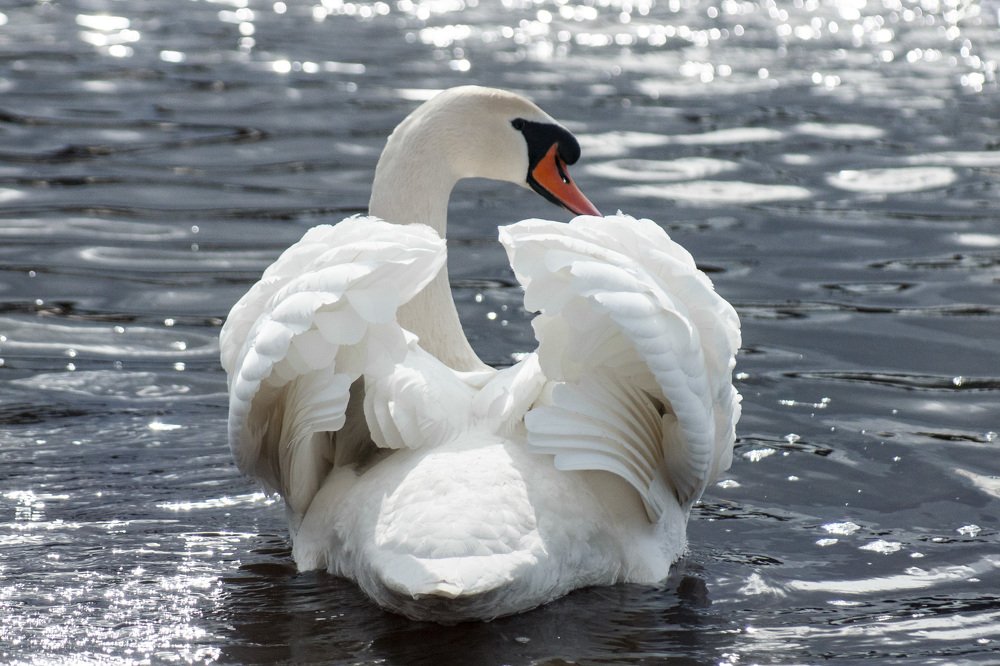 Как я, получился?