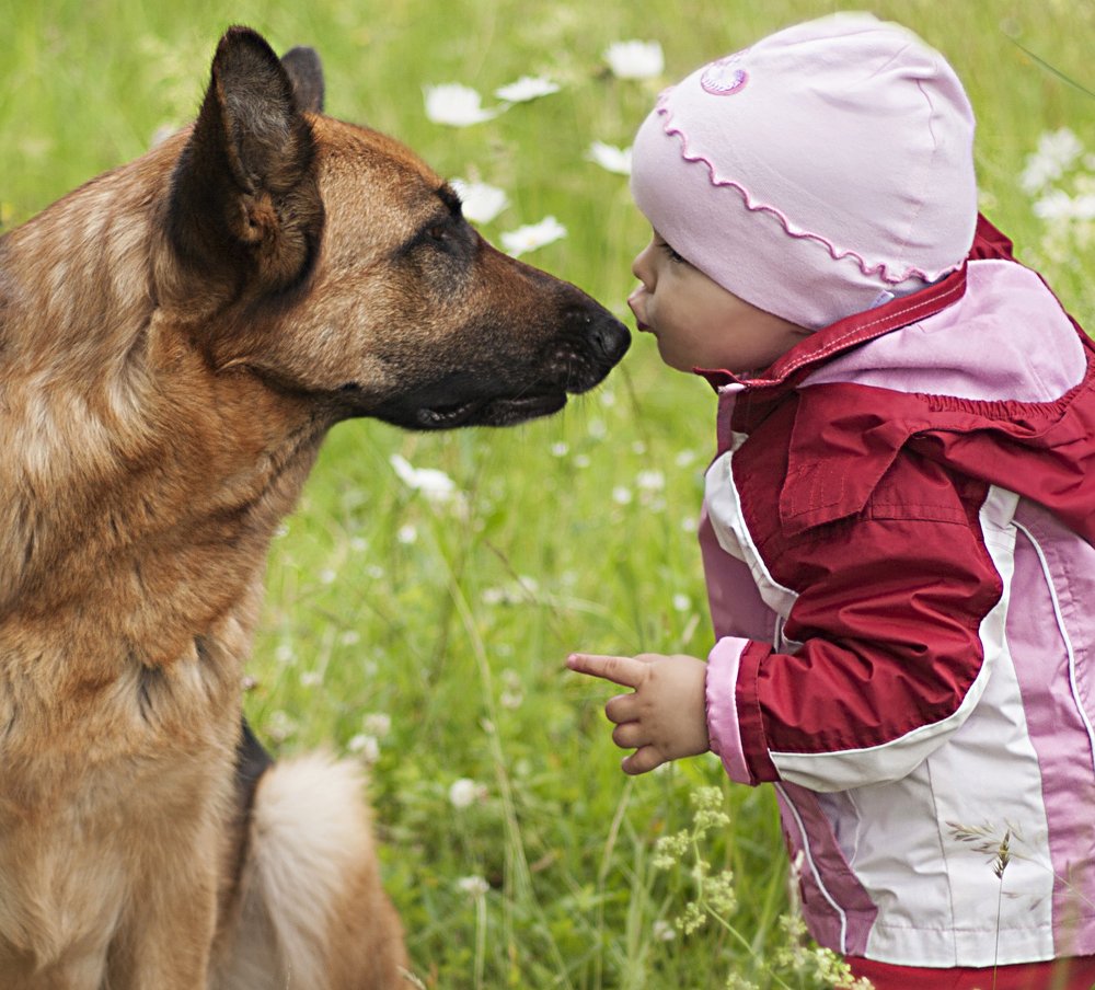 Поцелуй дружбы