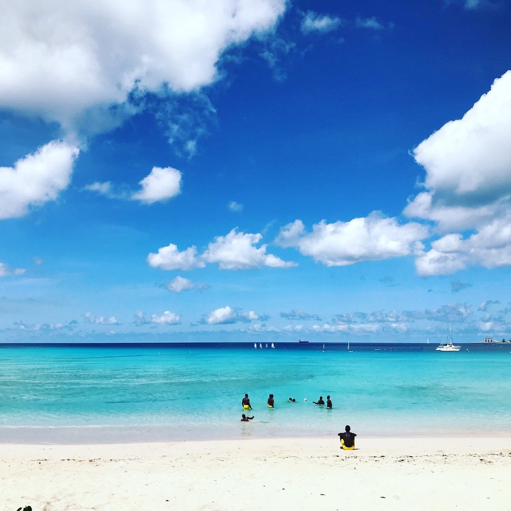 Черные на бирюзовом (Blacks on turquoise)