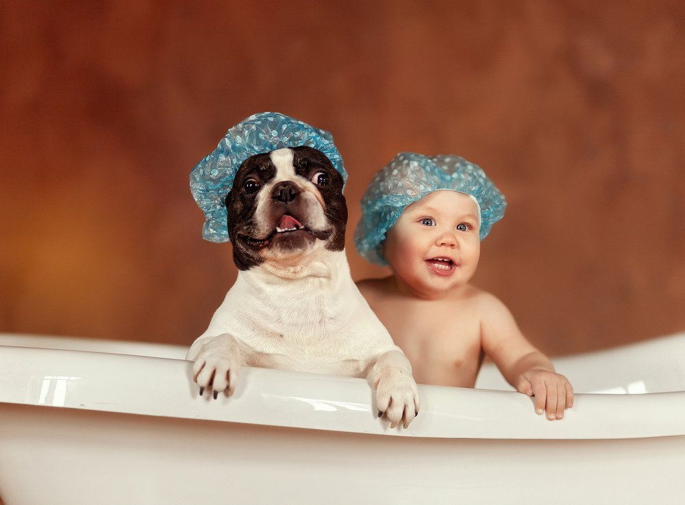 Photograph by Каро Анжелика