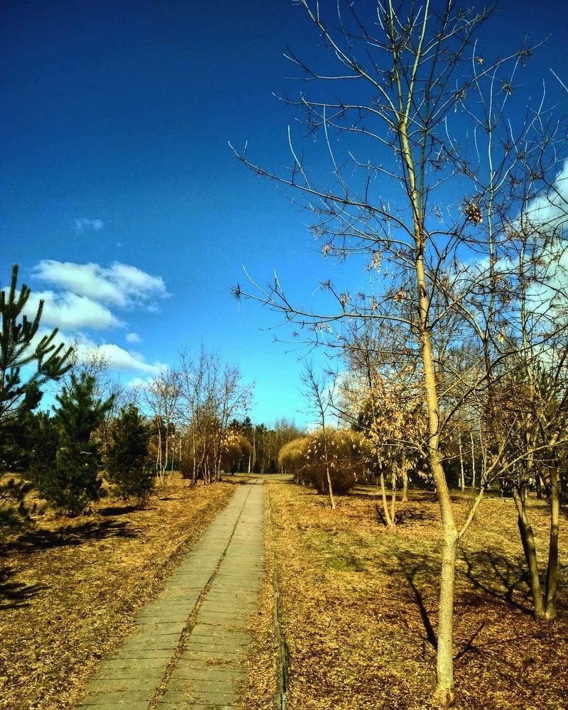 яркая ранняя весна