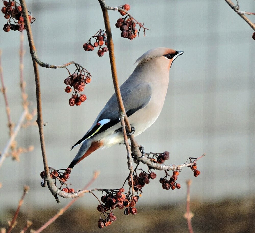 Photograph by Анна Панкратова