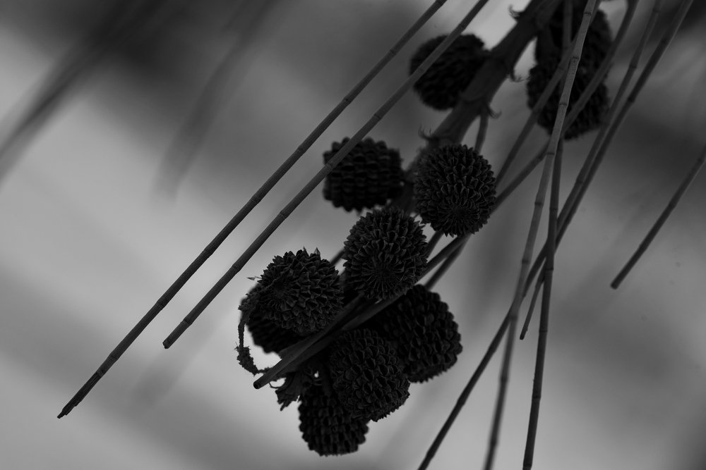 Фотография автора Полина Савина