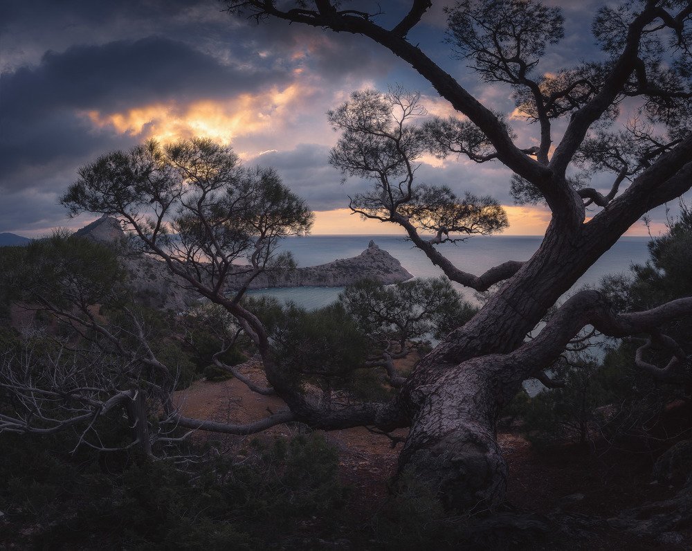 Photograph by Oleg Feofanov