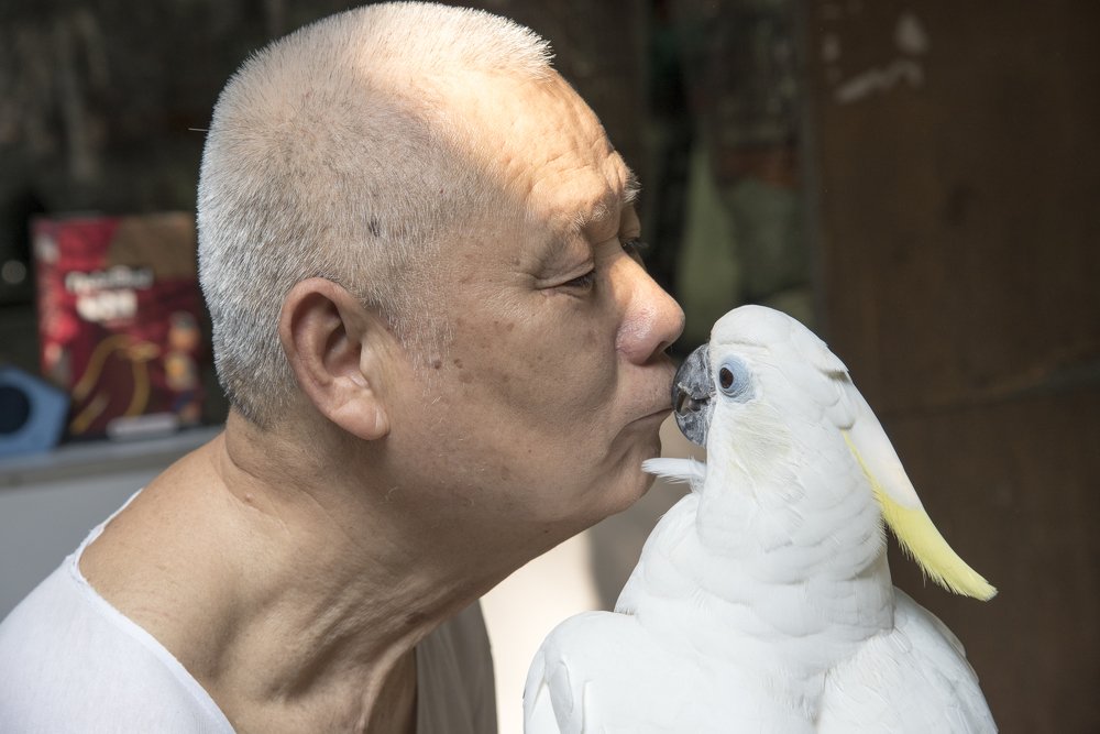 И плевать на птичий грипп!