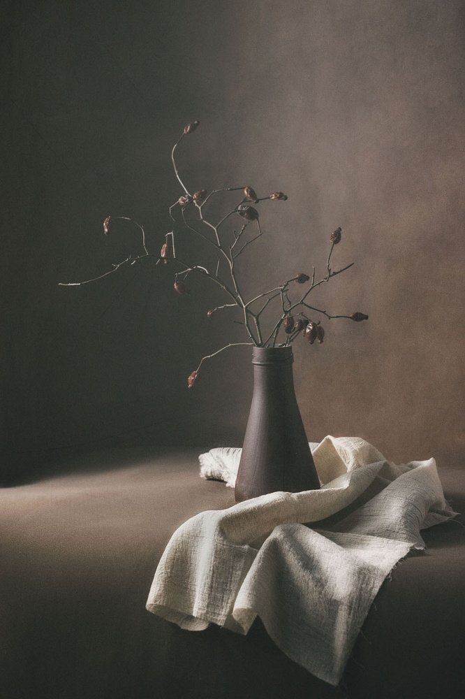 Веточка с тряпочкой