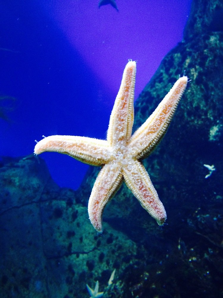 Photograph by Zahra