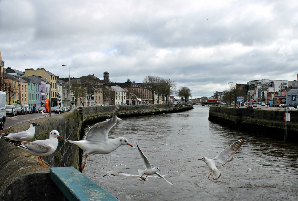 Photograph by Irina Radzinskaya