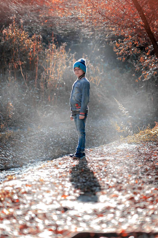 Осений туман