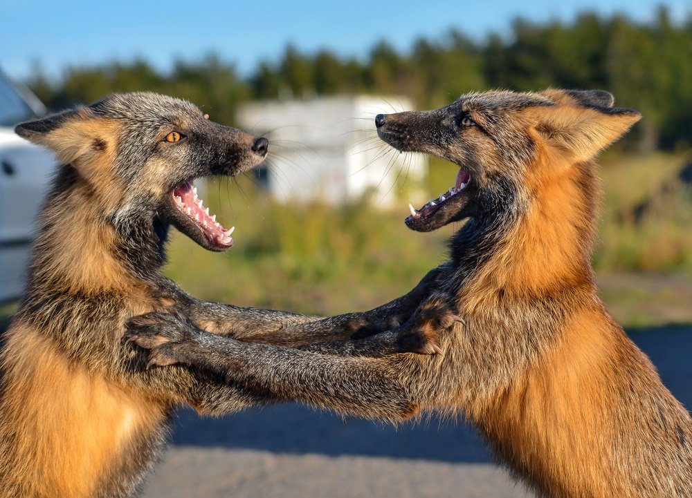 Не ори на меня!