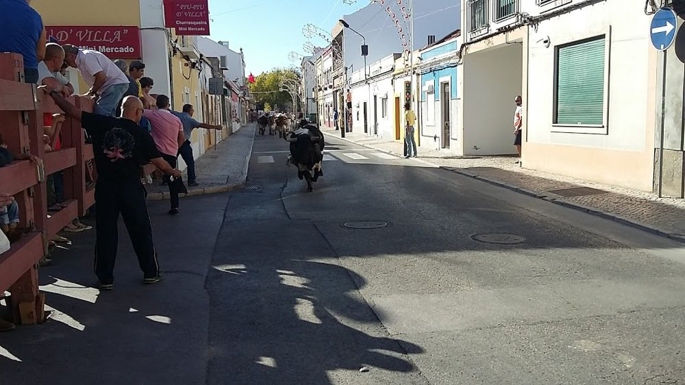 Largada de Toiros