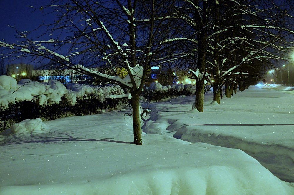 Зимняя ночь