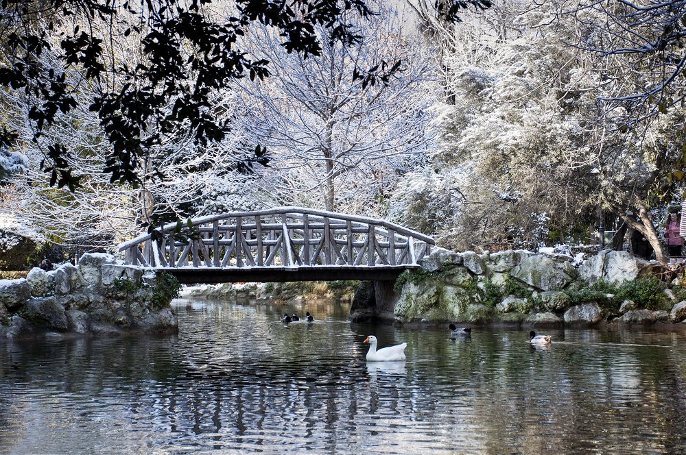Athens national garden