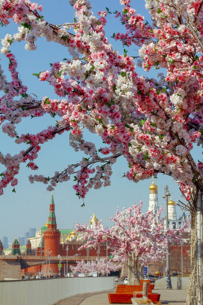 Московская весна