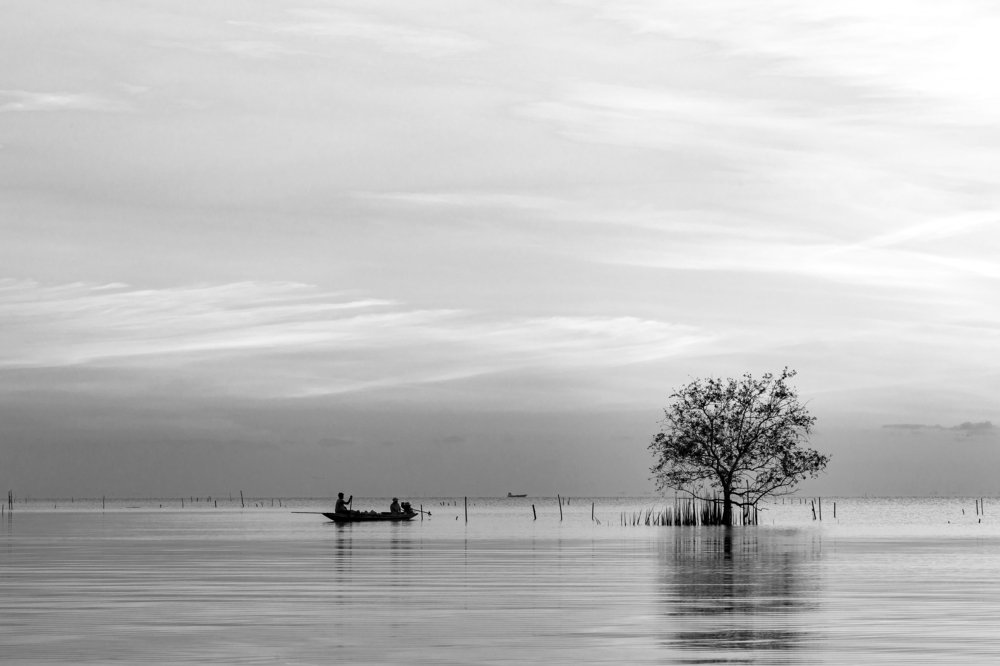 Photograph by Ronaldo Edson Reyes