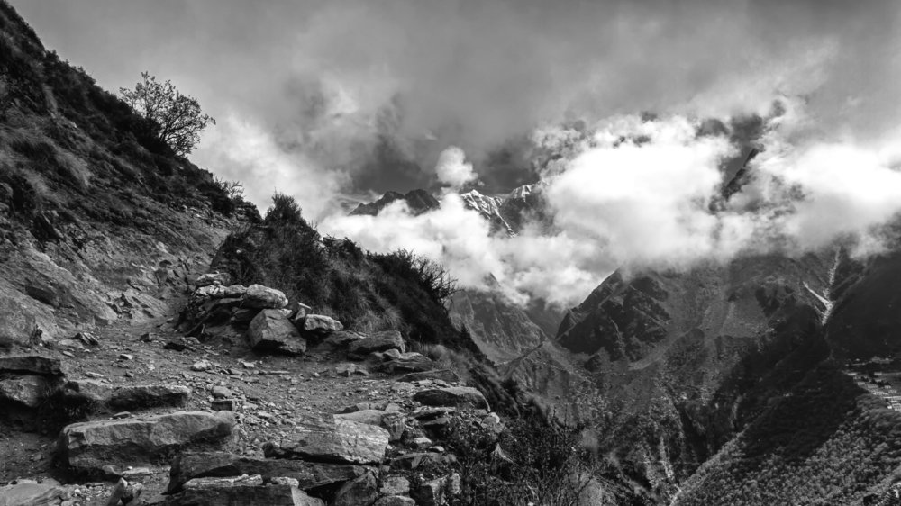 "Barbison school" landscape