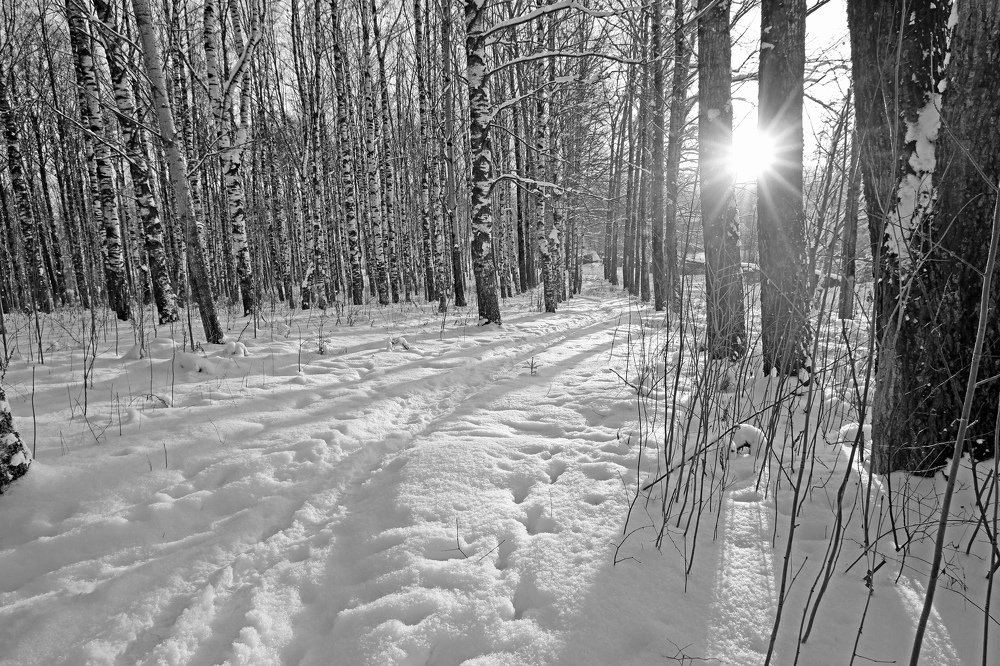 Зимнее солнце