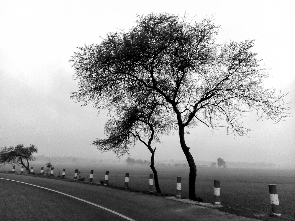 We are all alone in own world