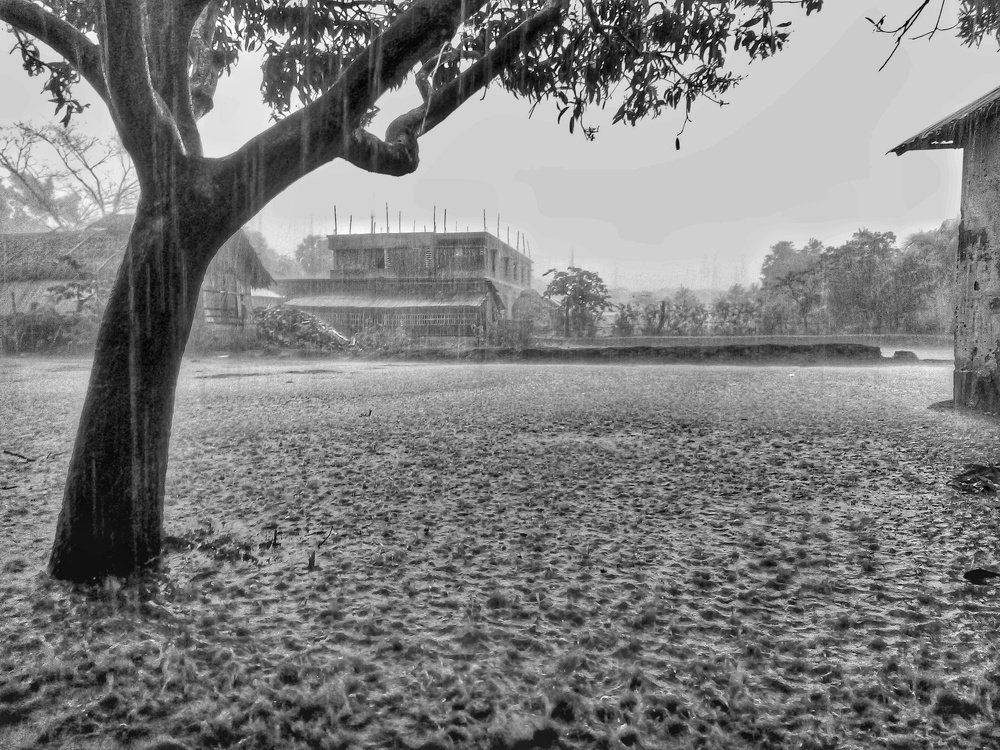 Rain fall of Bangladesh