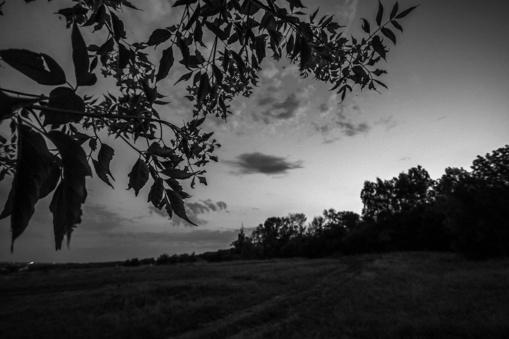 Photograph by Константин Зайцев
