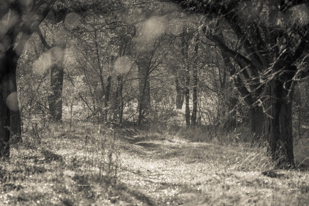 Photograph by Максим Митченко