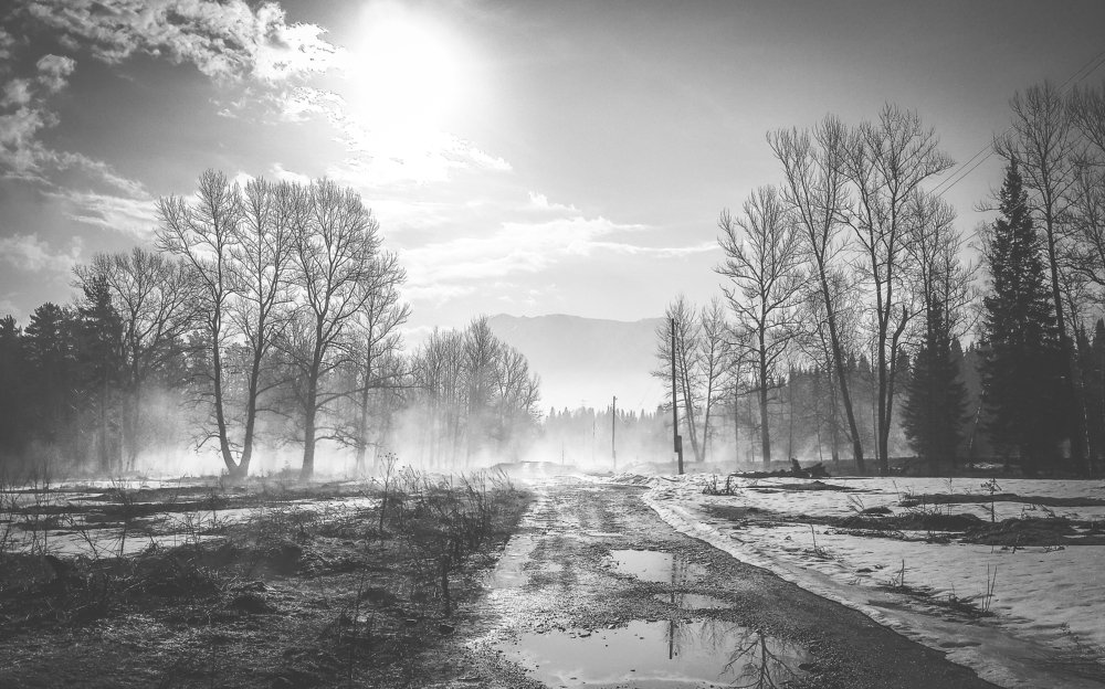 После дождя