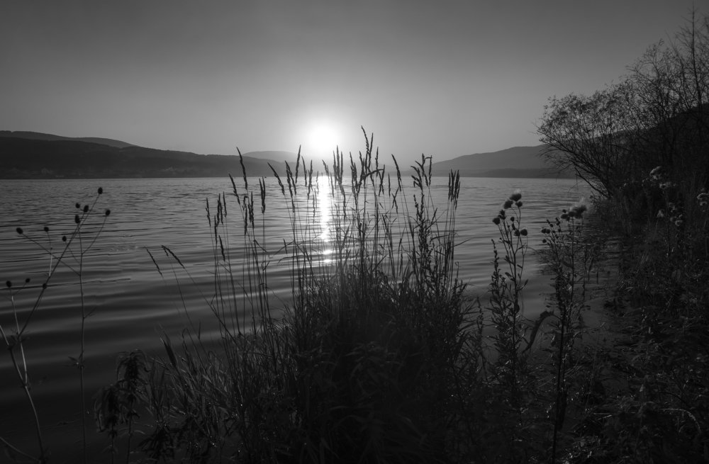 По лунной дорожке.