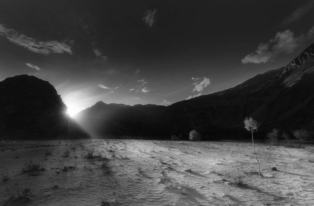 Window of the Last Light