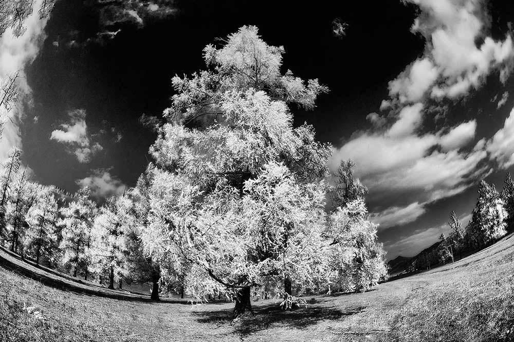 Утро в горах после бурной ночи