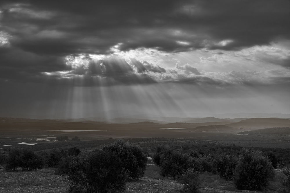 Natural light at dawn