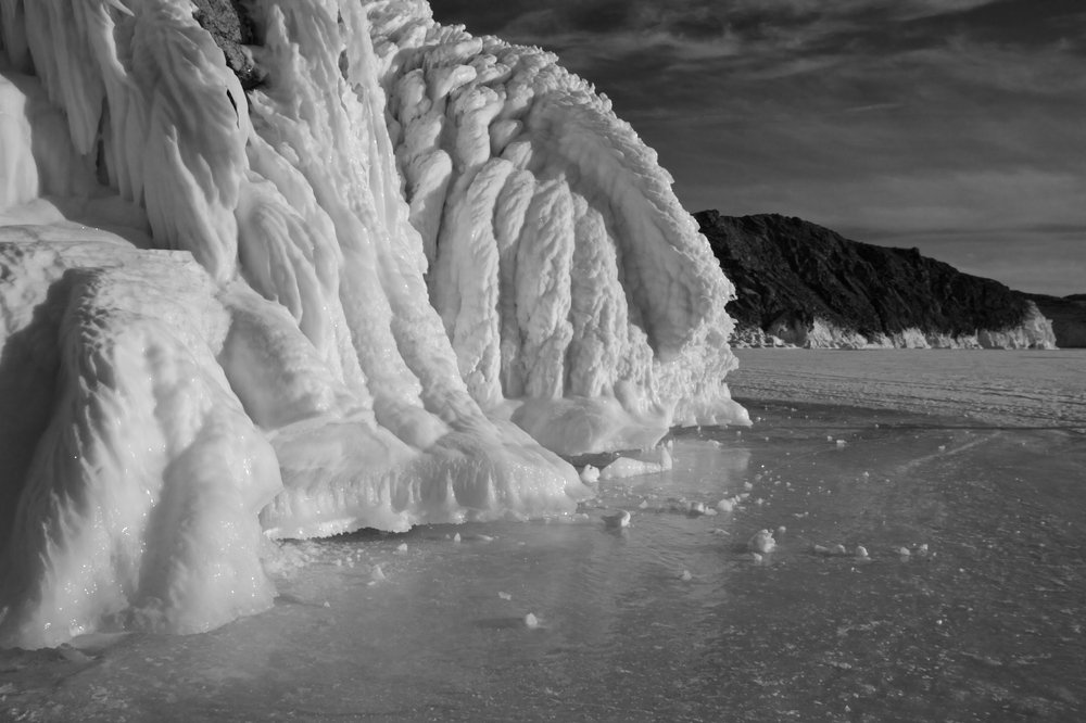 Крылья крокодила