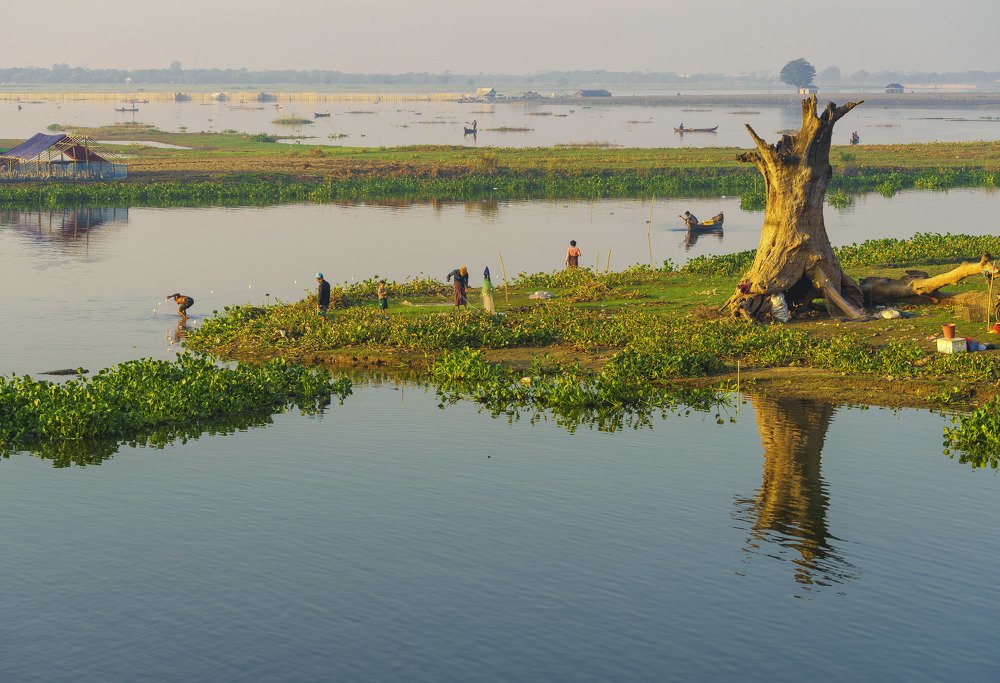 Fishing on lonely tree