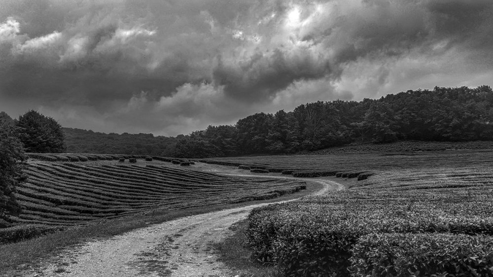 Дорога в небо