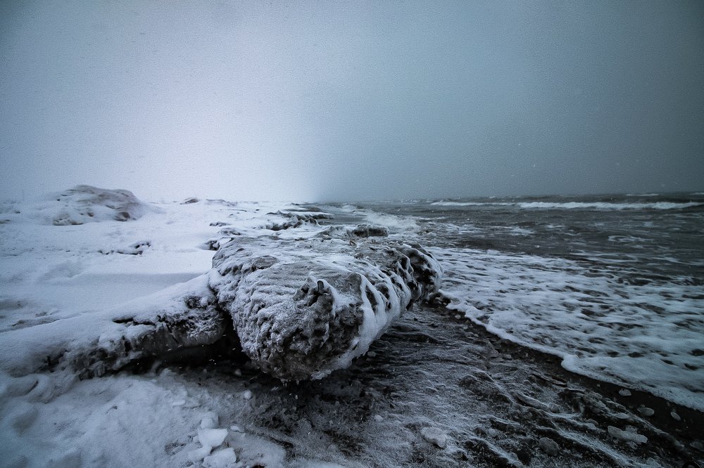 Метель в заливе Анива