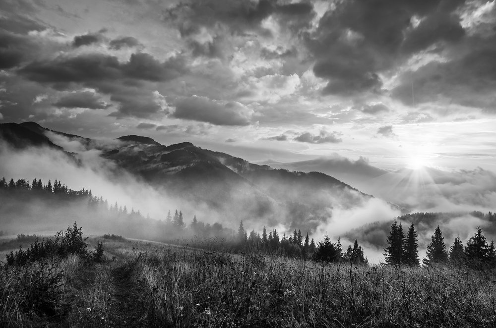 Carpathian sunrise