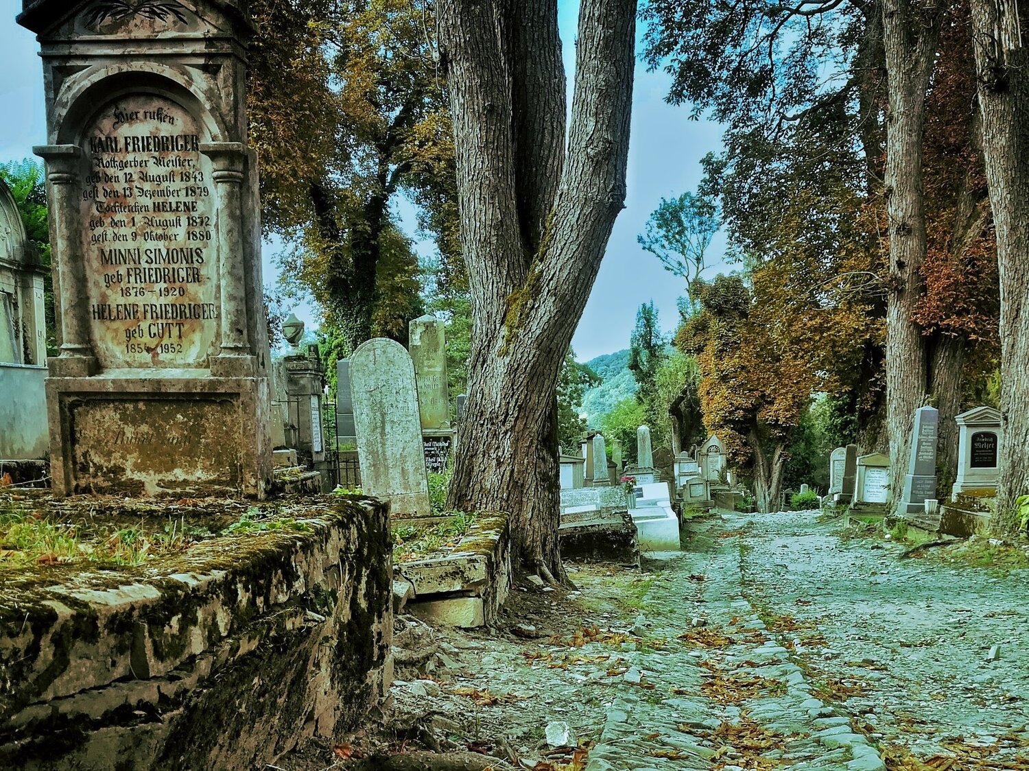 Vampires cemetery