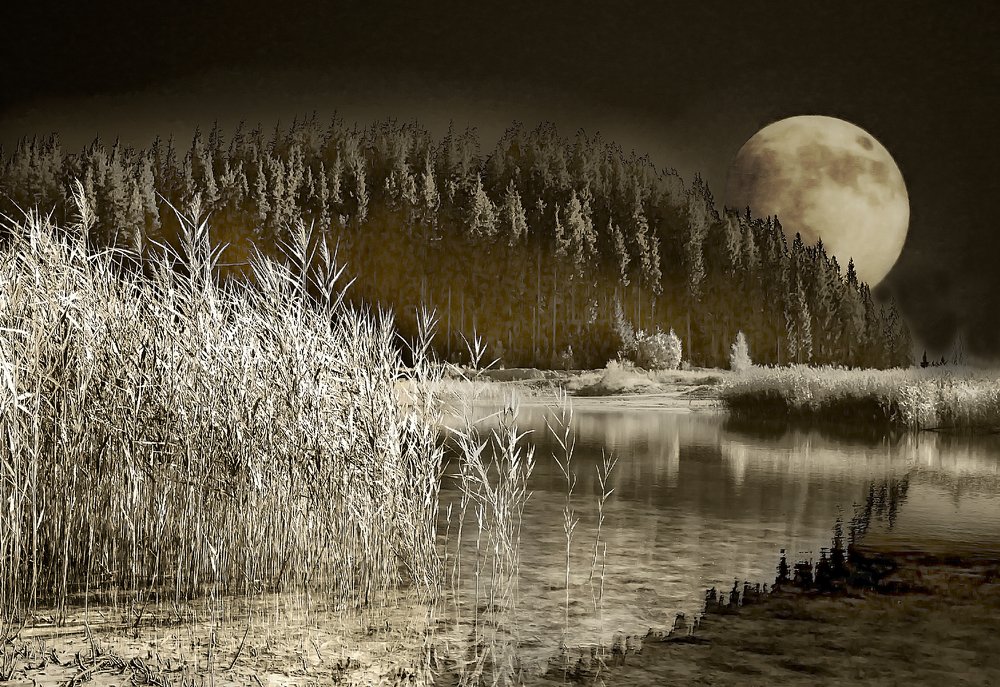 Moonrise